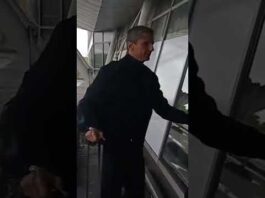 ΠΑΟΚ – Αποχώρηση απο Λιλ  #news #libero #παοκ #paok #europaleague #football