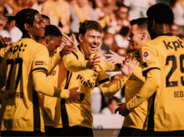 Young Boys: Η τέταρτη ελβετική ομάδα στον δρόμο του ΠΑΟΚ