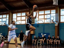 ΠΑΟΚ – Vikos Φalcons: 90-71